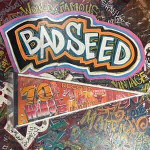 Vintage 1995-96 Chicago Bulls 70 Wins Pennant - Wincraft Sports Collectible